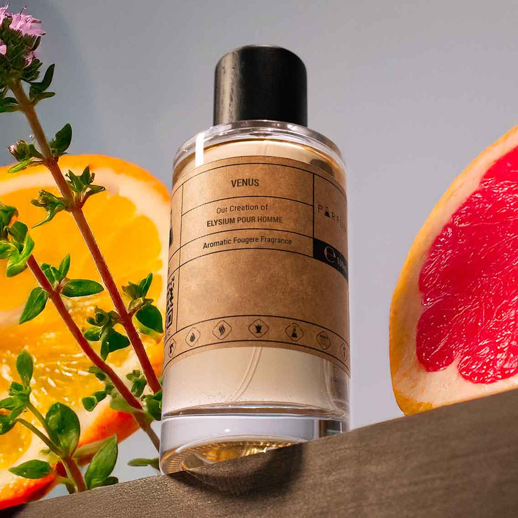 Our Creation of Roja Dove's Elysium Pour Homme Parfum Cologne Perfume - Nordic Souk fragrance 